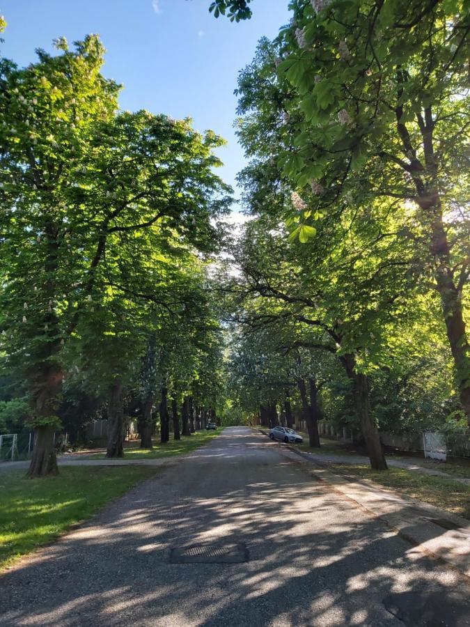 Balatonszemesi Nyaralohaz Villa Buitenkant foto
